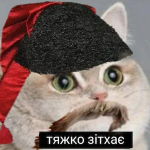 Chervona