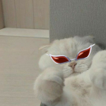 цукровий бурячок °^°