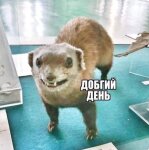 HakeDzan
