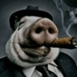 наглухо відбита хвора тварина