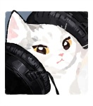 Lcsvelt_